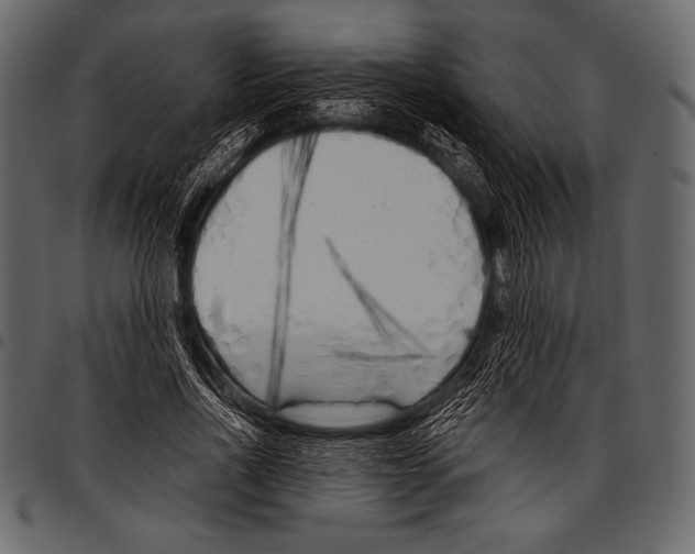 X0000097470734200803201447