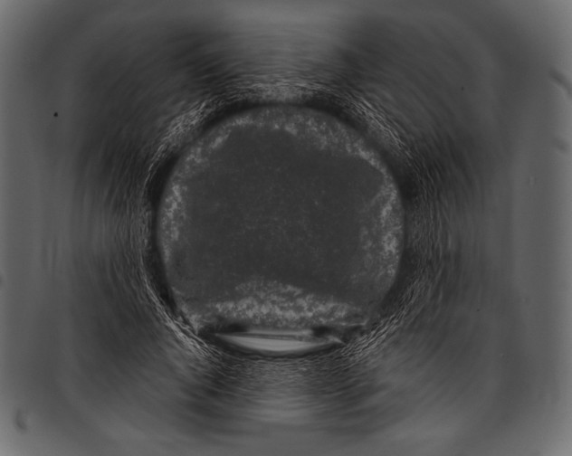 X0000097470736200803201447