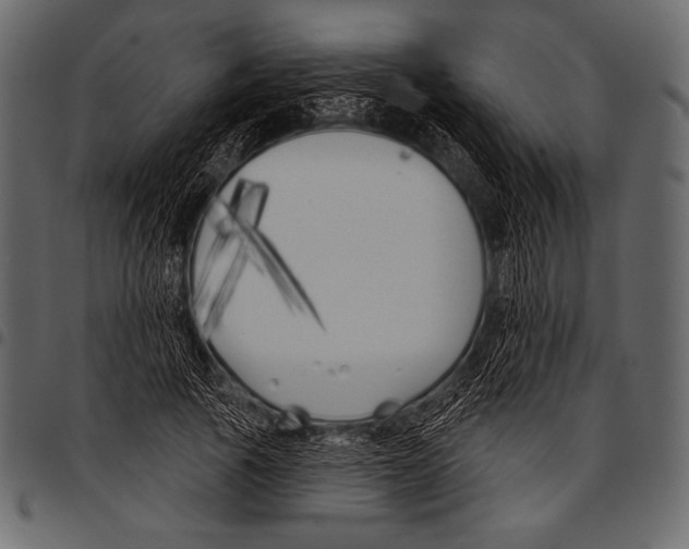 X0000097470737200803201447