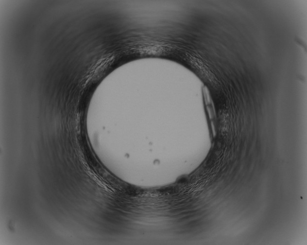 X0000097470738200803201447