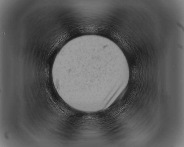 X0000097470739200803201447