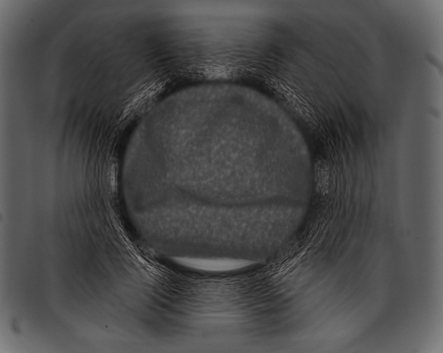 X0000097470740200803201447