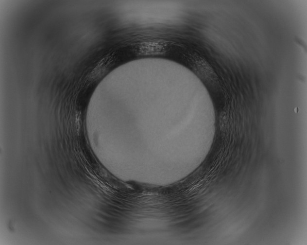 X0000097470741200803201447