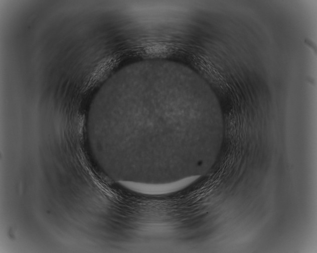 X0000097470742200803201447