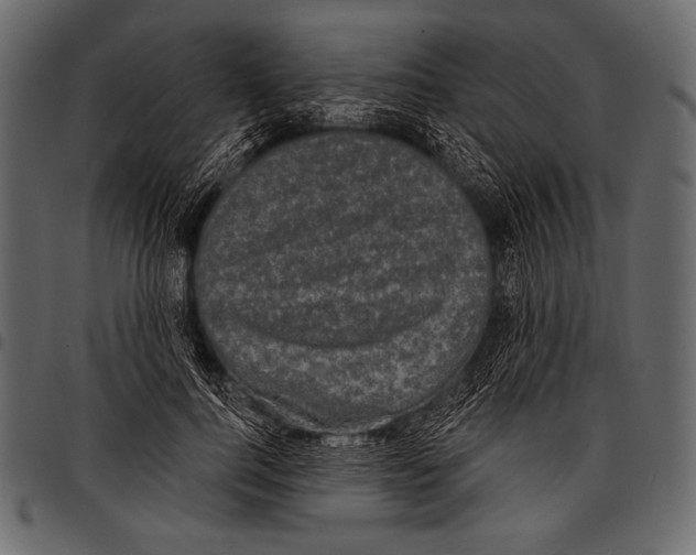 X0000097470744200803201447