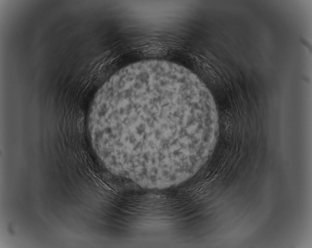 X0000097470745200803201447