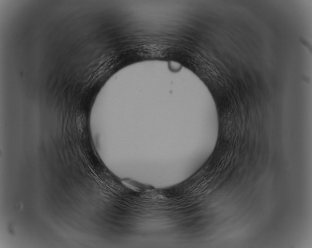 X0000097470747200803201447