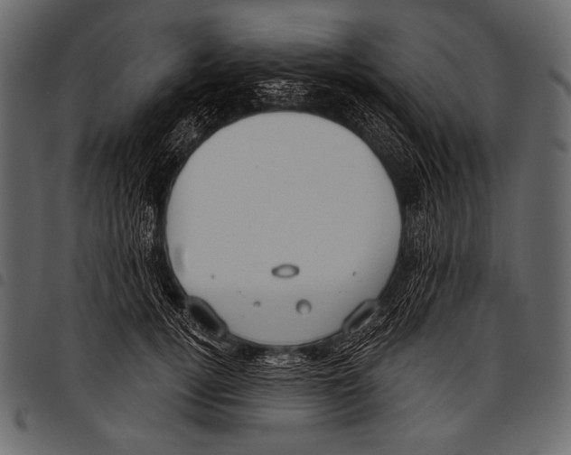 X0000097470752200803201447