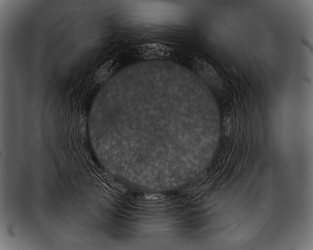 X0000097470753200803201447