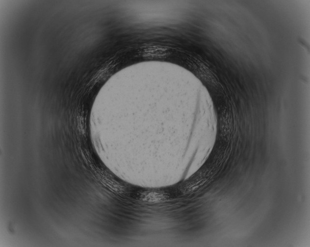 X0000097470755200803201447