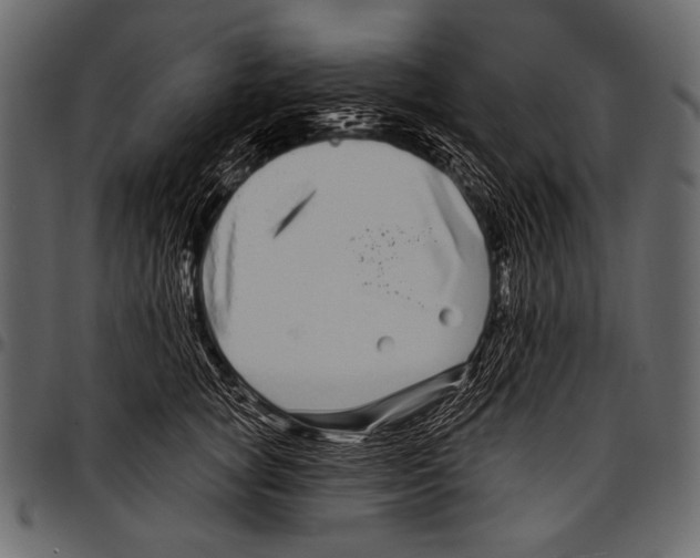 X0000097470757200803201447