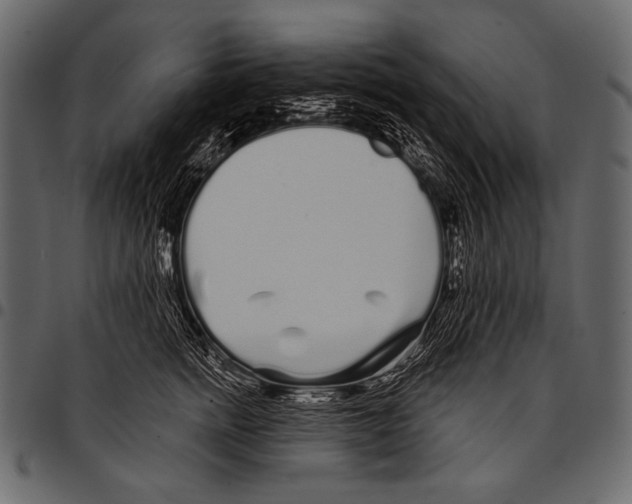 X0000097470758200803201447