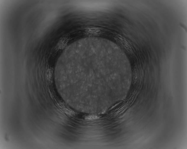 X0000097470759200803201447