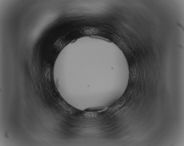 X0000097470762200803201448