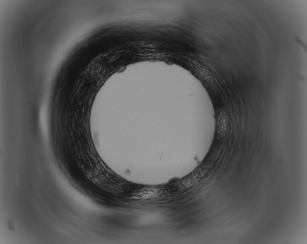 X0000097470764200803201448