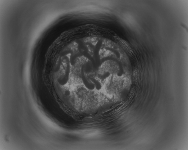 X0000097470765200803201448