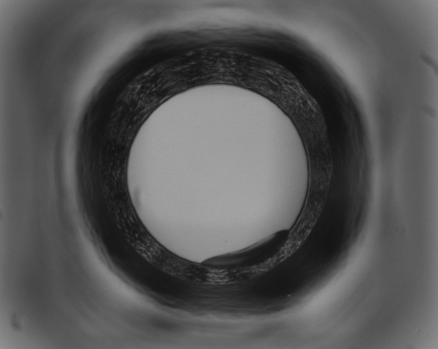 X0000097470766200803201448