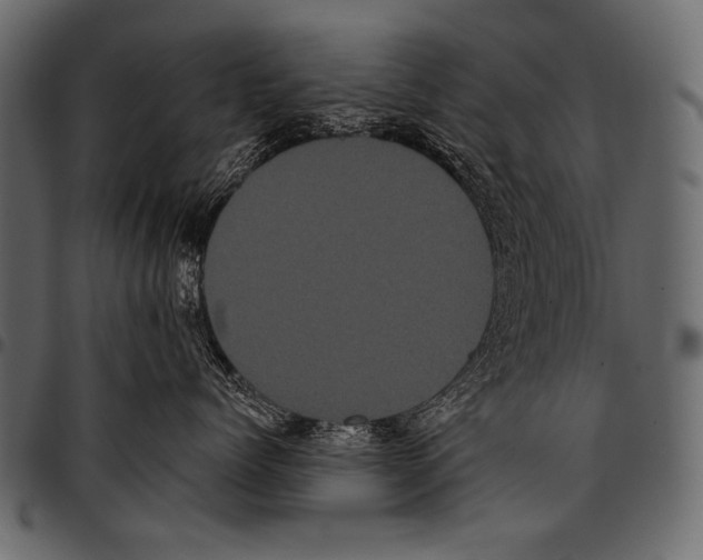 X0000097470768200803201448