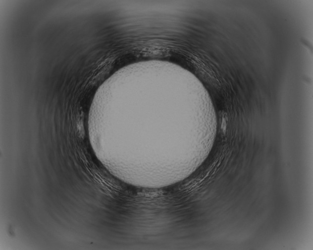 X0000097470771200803201447