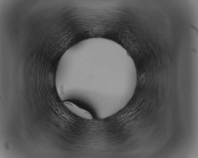 X0000097470772200803201447