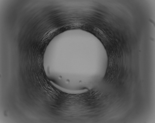 X0000097470773200803201447