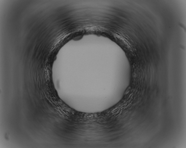 X0000097470776200803201447