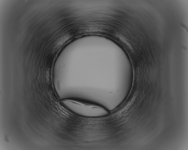 X0000097470777200803201447