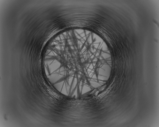 X0000097470779200803201447