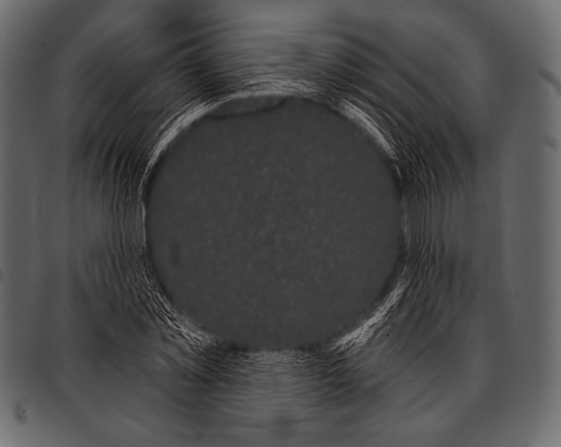 X0000097470781200803201447