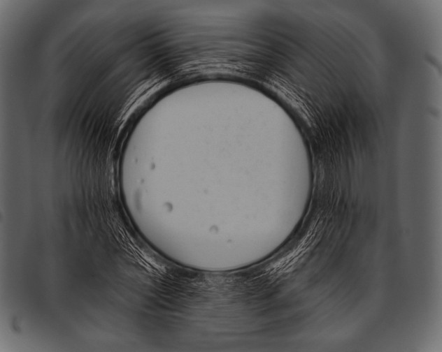 X0000097470782200803201447