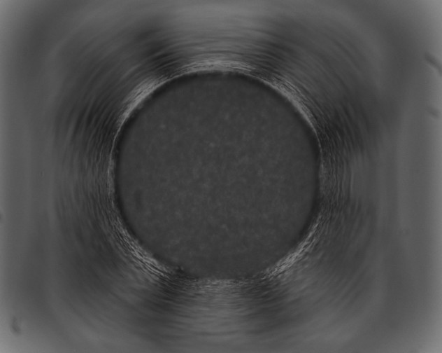 X0000097470783200803201447