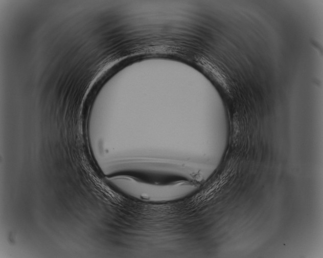 X0000097470784200803201447