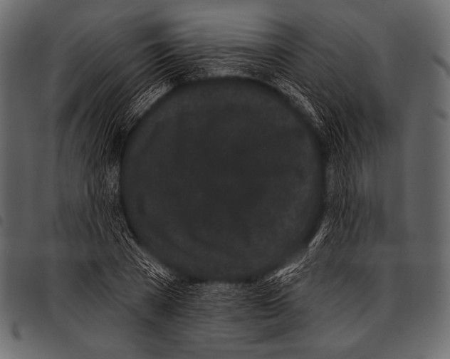 X0000097470785200803201447