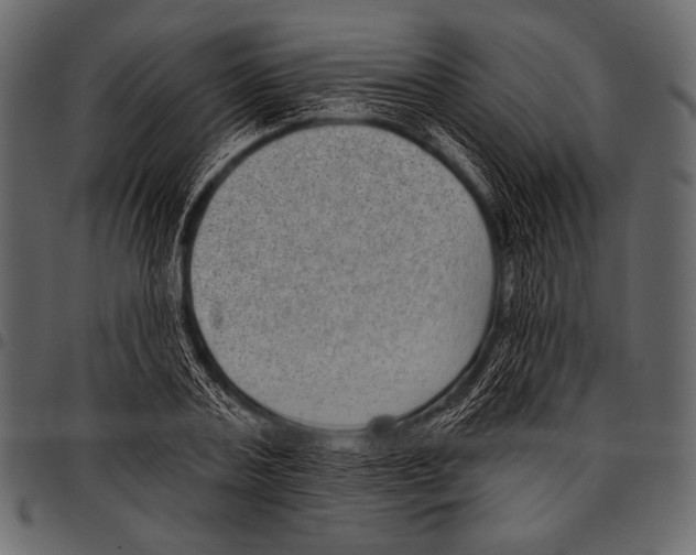 X0000097470787200803201447