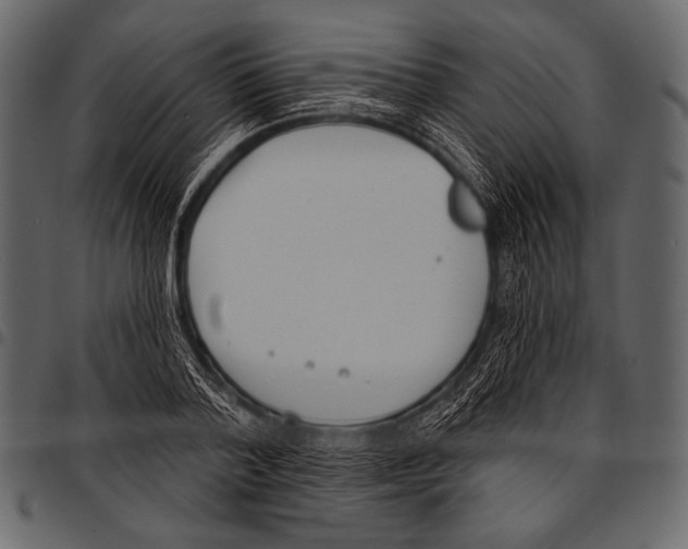 X0000097470788200803201447