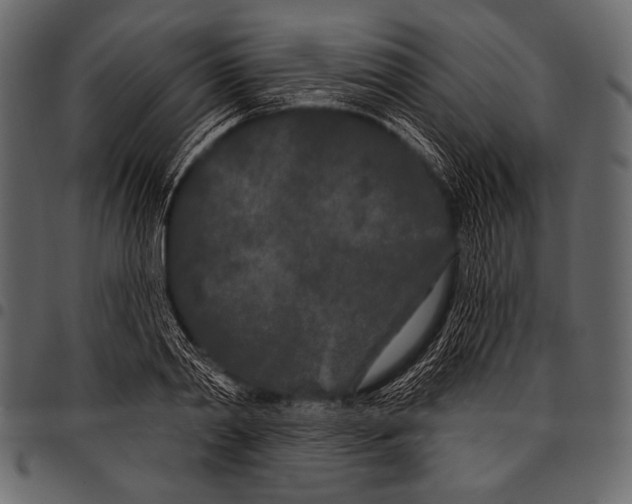 X0000097470790200803201447