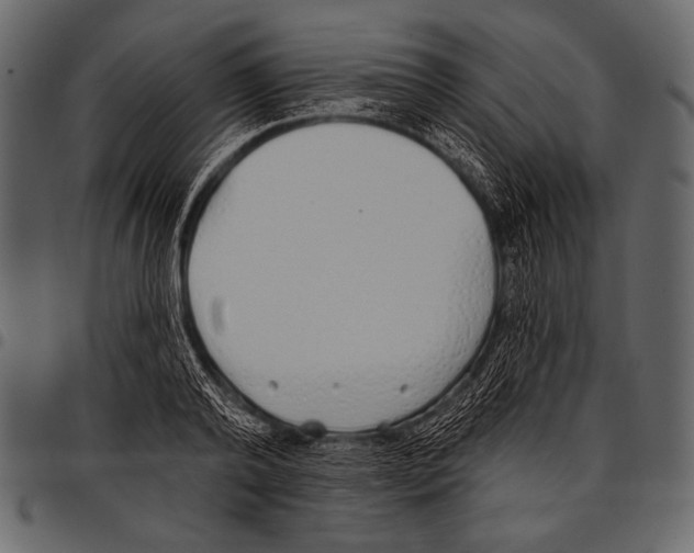 X0000097470792200803201447