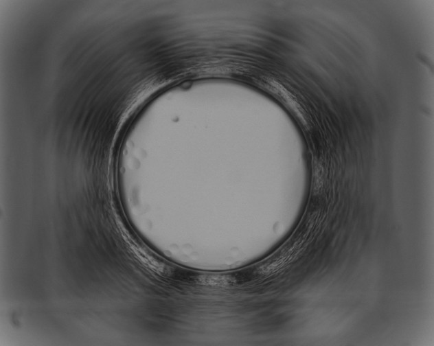 X0000097470795200803201447