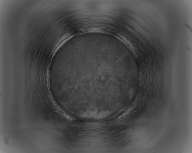 X0000097470798200803201447