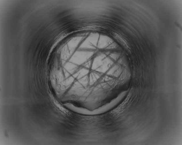 X0000097470800200803201446