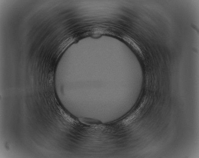 X0000097470801200803201446