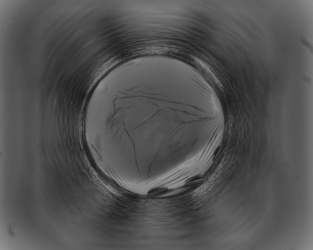 X0000097470802200803201446