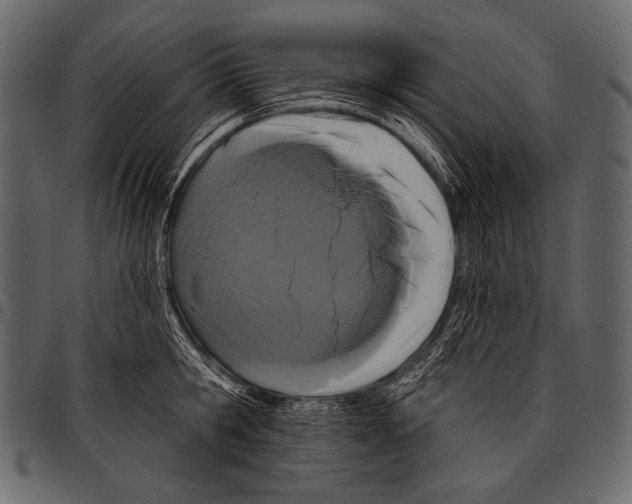 X0000097470806200803201446