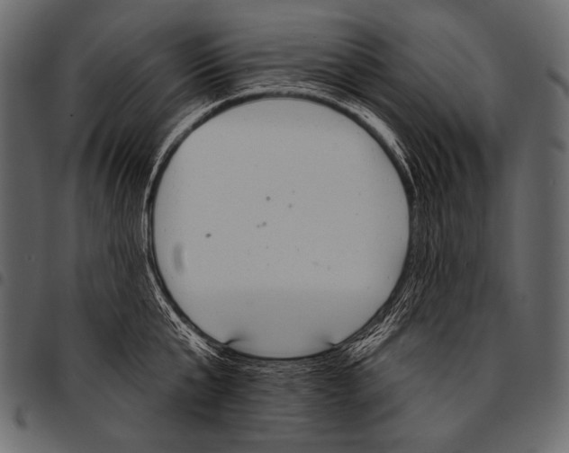 X0000097470807200803201446