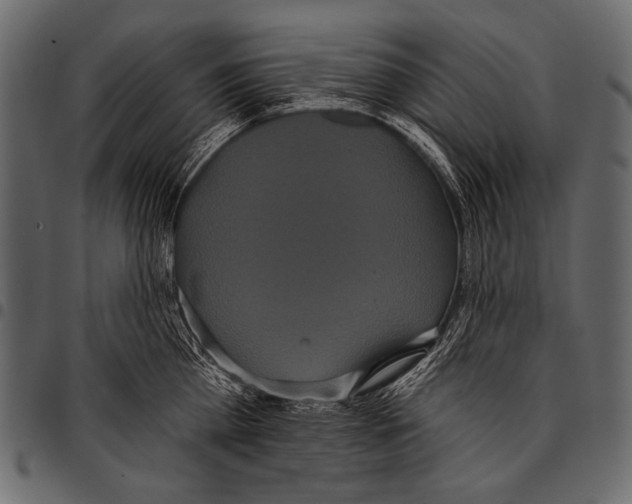 X0000097470809200803201446