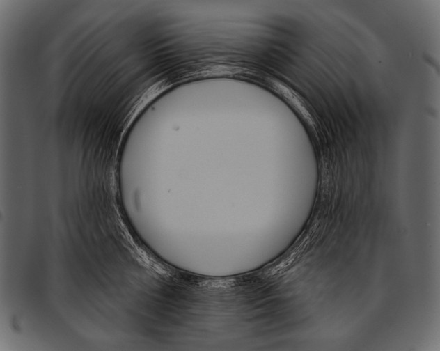 X0000097470810200803201446