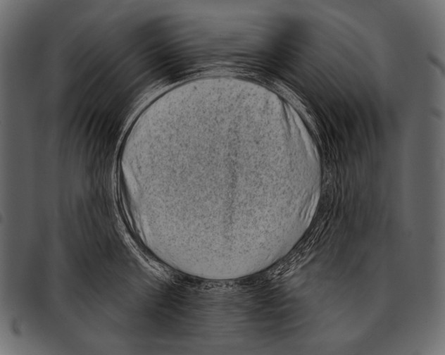 X0000097470811200803201446