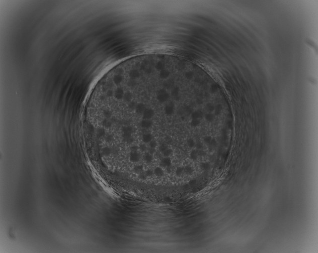 X0000097470816200803201446