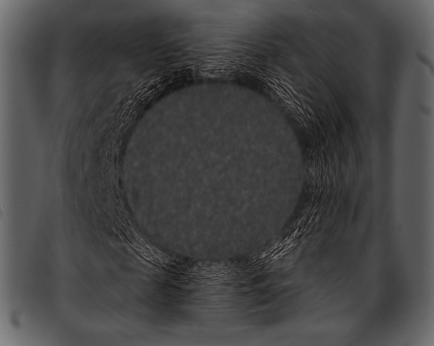 X0000097470817200803201446