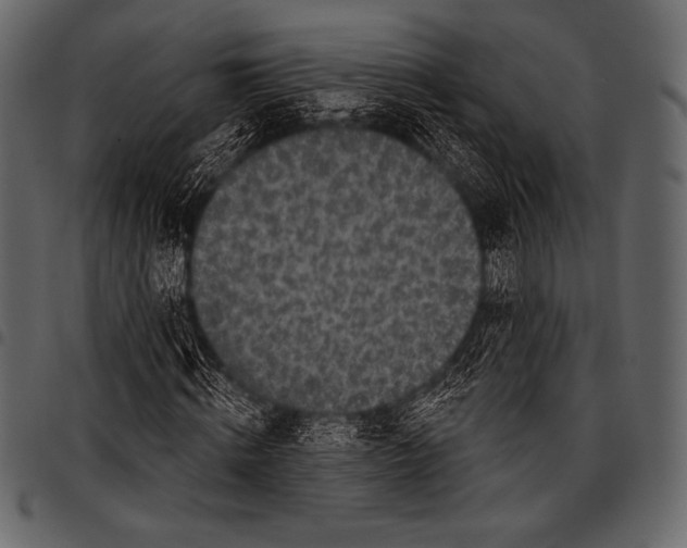 X0000097470820200803201446